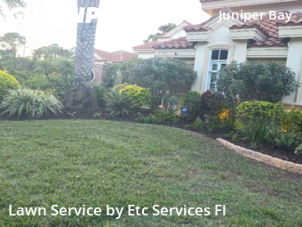 Yard Mowingin Palm Harbor,34685,Lawn Service by Etc Services Fl, work completed in Dec , 2025
