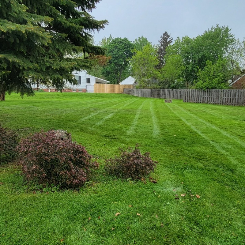 Lawn Care Service in Painesville, OH, 44077