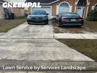 Lawn Cut nearby Orlando, FL, 