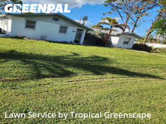 Lawn Mow nearby Venice, FL, 
