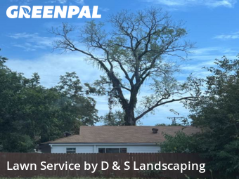 Lawn Care Service nearby Krugerville, TX, 