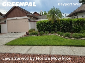 Lawn Mow nearby Tampa, FL, 