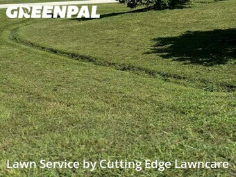 Lawn Care nearby Port St. Lucie, FL, 