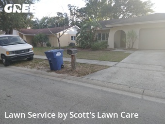 Lawn Care Service nearby Palm Harbor, FL, 