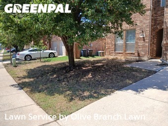 Lawn Maintenance nearby Roanoke, TX, 