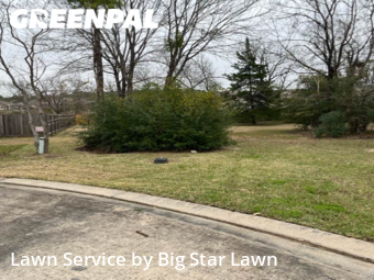Grass Cut nearby Conroe, TX, 