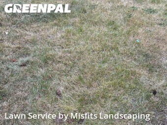 Landscaping Maintenance In Lakewood,98498,Landscape Design by Misfits Landscaping, work completed in Jul , 2026