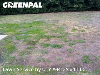 Lawn Mow nearby Modesto, CA, 