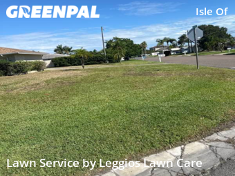 Grass Cut nearby Treasure Island, FL, 