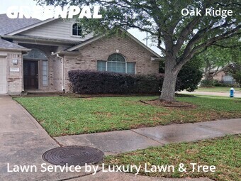 Lawn Care nearby Houston, TX, 