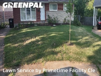 Yard Cutting nearby University City, MO, 