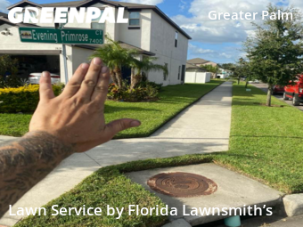 Lawn Mow nearby Tampa, FL, 