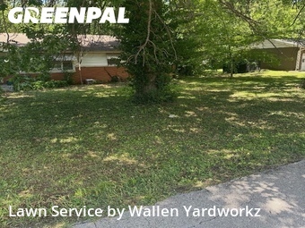 Grass Cutting nearby Springfield, MO, 