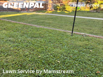 Lawn Mowing nearby St. Louis, MO, 