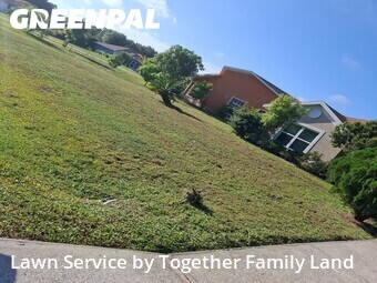 Grass Cutting nearby Englewood, FL, 