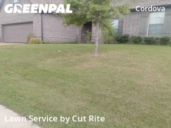 Lawn Maintenance nearby Shelby County, AR, 