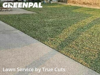 Lawn Cut nearby Moore, OK, 