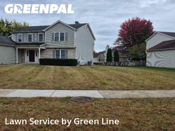 Grass Care in Romeoville, 60446, Backyard Mowing by Green Line, work completed in Nov , 2025