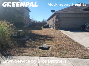 Yard Cutting nearby New Braunfels, TX, 