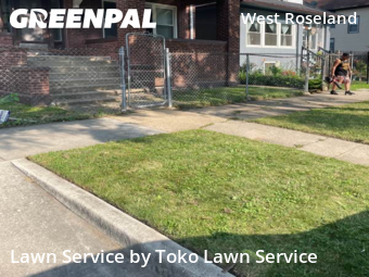 Lawn Maintenance nearby Chicago, IN, 