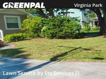 Grass Cut nearby Tampa, FL, 
