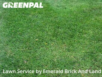 Grass Cut nearby Bolingbrook, IL, 