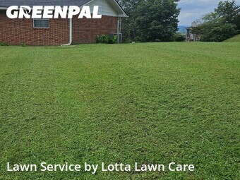 Yard Mowing nearby Ringgold, TN, 