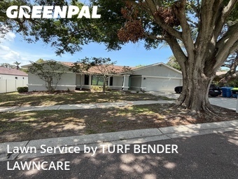 Lawn Cuttingin Palm Harbor,34684,Lawn Service by TURF BENDER LAWNCARE, work completed in Jun , 2026