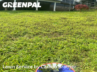 Yard Cutting nearby Danbury, CT, 