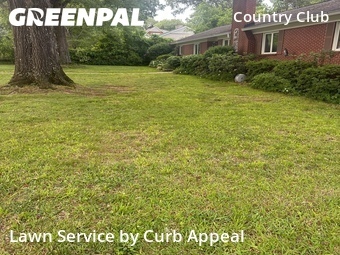 Grass Cutting nearby Charlotte, NC, 