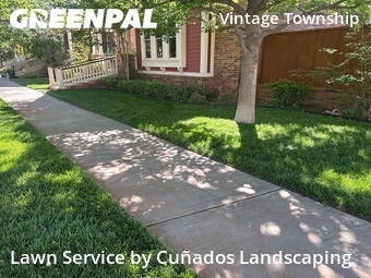 Lawn Cut nearby Lubbock, TX, 