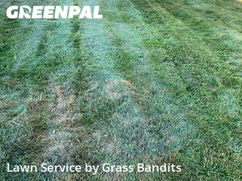 Grass Cutting nearby Billings, MT, 