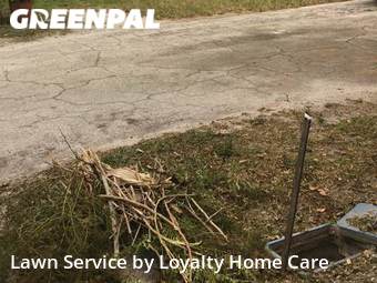 Lawn Cut nearby Vero Beach, FL, 