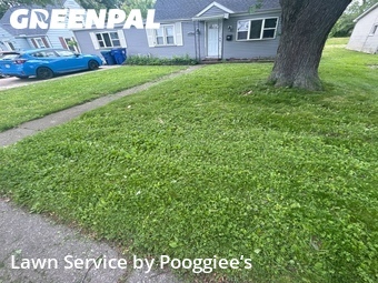 Yard Cutting nearby Buffalo, NY, 