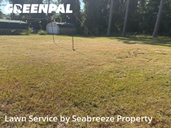 Yard Care in Niceville, 32578, Lawn Work by Seabreeze Property , work completed in Nov , 2025