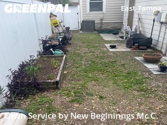 Lawn Maintenance nearby Tampa, FL, 