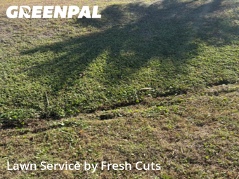 Lawn mowed in Palm Bay, 32907