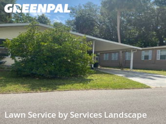 Grass Cut nearby Kissimmee, FL, 