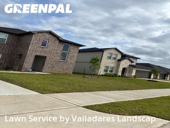 Lawn Cutin Rosenberg,77469,Lawn Care Service by Valladares Landscap, work completed in Jun , 2026