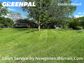 Lawn Cut nearby Indianapolis, IN, 