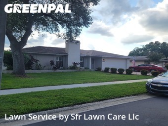 Grass Cutting in East Lake, 34685, Weekly Mowing by Sfr Lawn Care Llc, work completed in Nov , 2025
