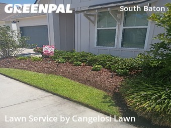 Grass Cutting nearby Baton Rouge, LA, 