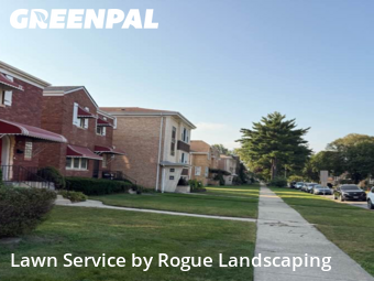 Lawn Cutting in Berwyn, 60402, Yard Grooming by Rogue Landscaping, work completed in Nov , 2025