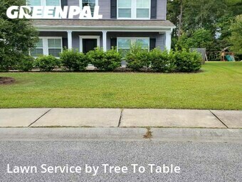 Lawn Care Service nearby Charleston, SC, 