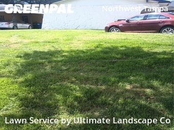 Yard Cutting nearby Tampa, FL, 