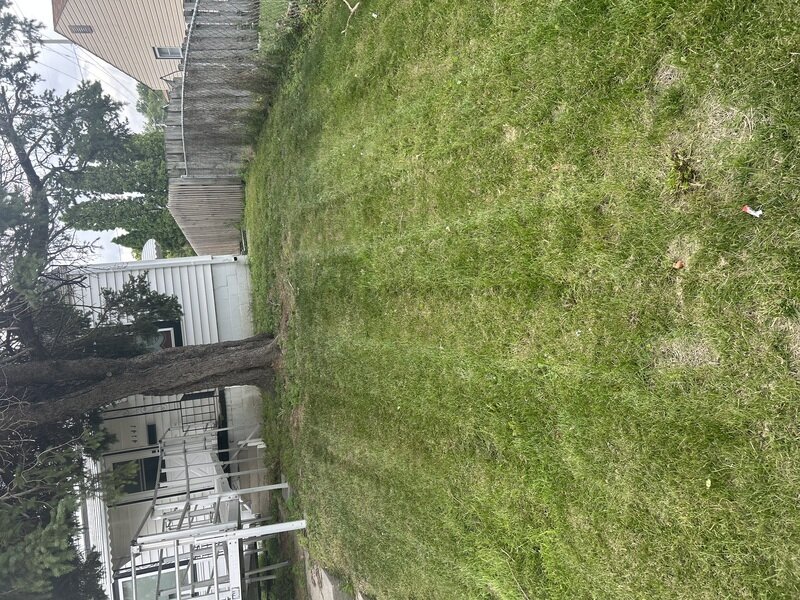 Work Image 5