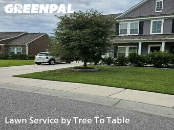 Grass Cutting nearby Charleston, SC, 