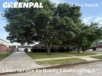 Lawn Mow nearby Katy , TX, 