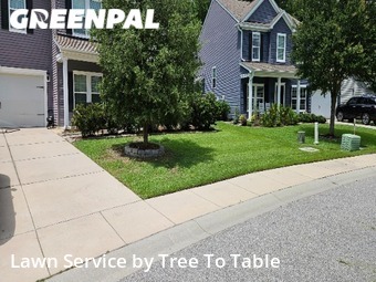 Grass Cutting nearby Charleston, SC, 