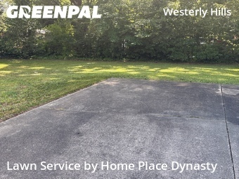 Grass Cuttingin Charlotte,28208,Grass Cutting by Home Place Dynasty, work completed in Jul , 2026